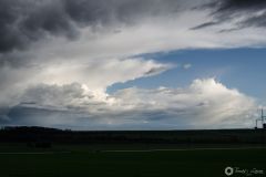 dsc_9933