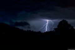 img_8267