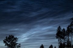 img_4261