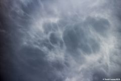 img_0296