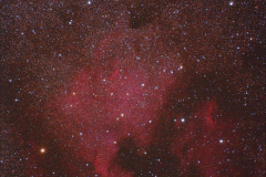 North America Nebula & Pelican Nebula v souhvezdi Labute
