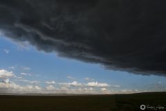 dsc_9912