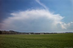 img_1493