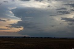 img_2648