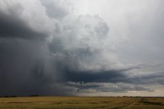 img_2895