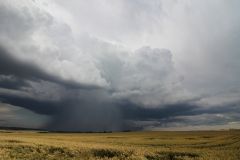 img_2898