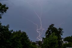 img_8266