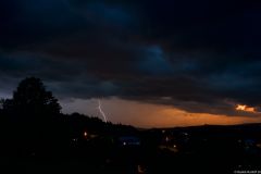 img_8268