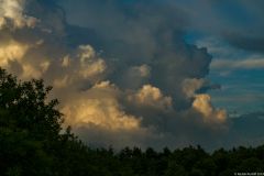img_8326