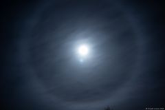 img_6464