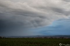 dsc_9630